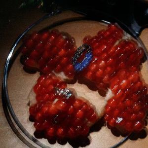 另类老妇videos另类
